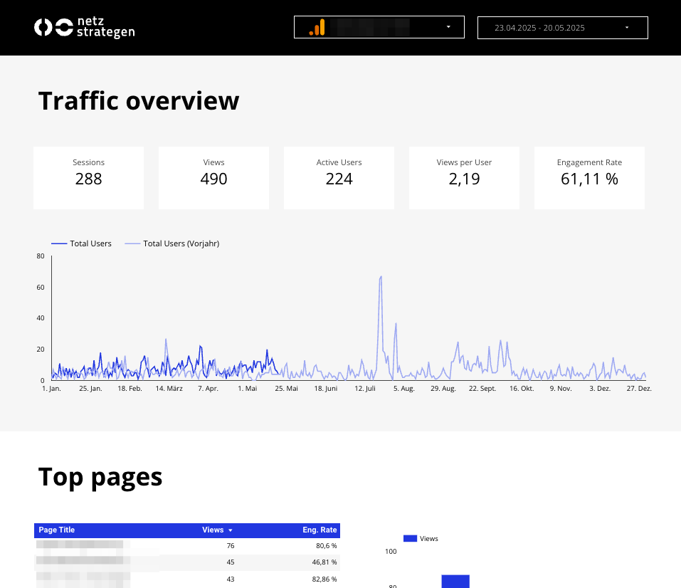 Website Performance Dashboard Template Ausschnitt netzstrategen